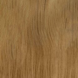 BIONDO - 27 – Biondo Rame