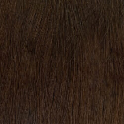 SCURO - 2 – Castano Naturale